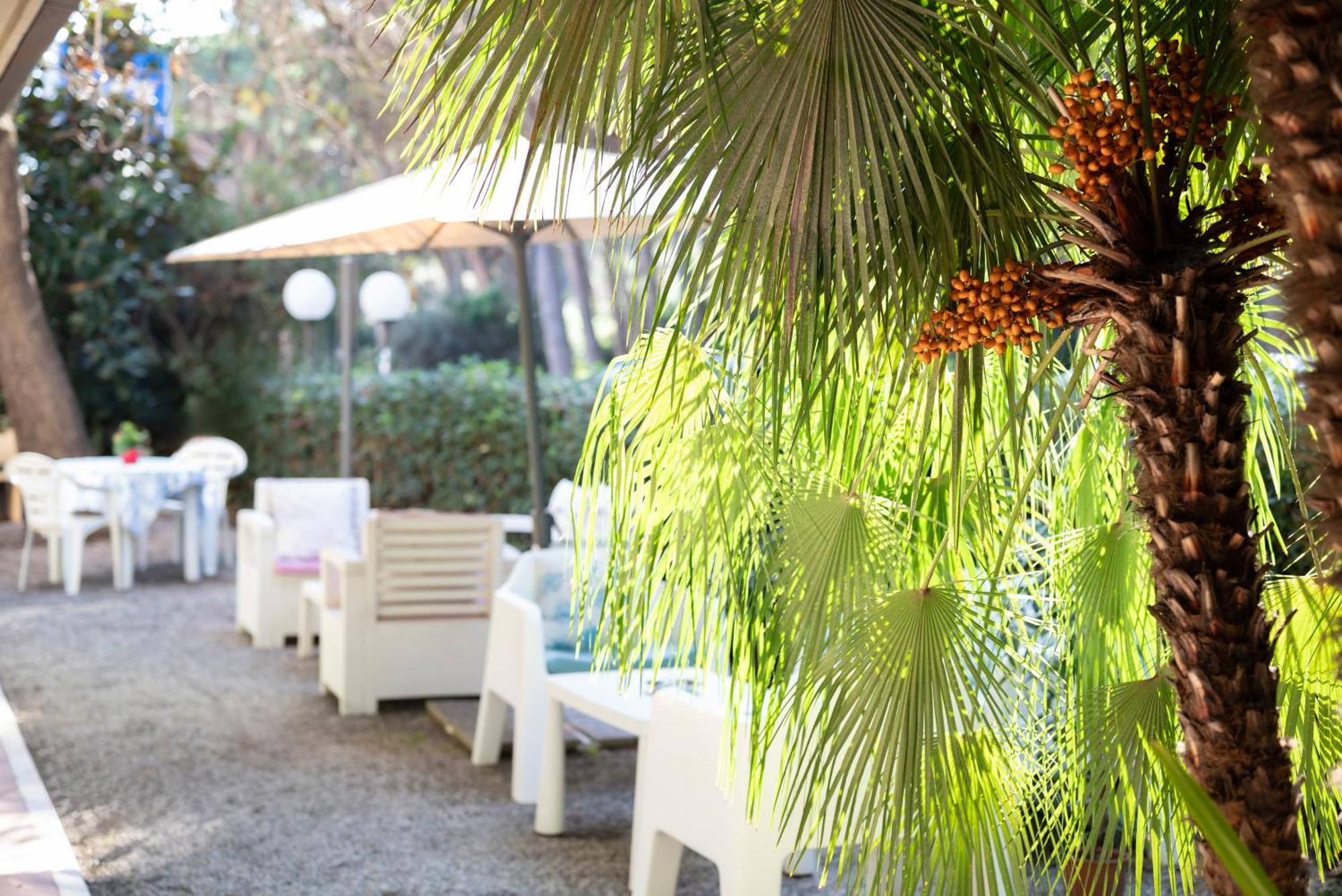 Hotel Parco Dei Pini - 100Mt Dal Mare Follonica Extérieur photo